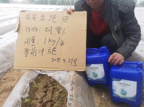 绿野杀菌剂,绿野农安