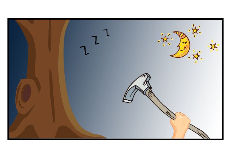 红豆杉的树皮要怎么吃,红豆杉树皮不能泡太久了吃么