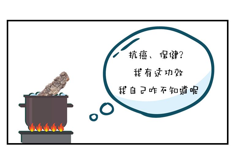 红豆杉的树皮要怎么吃,红豆杉树皮不能泡太久了吃么