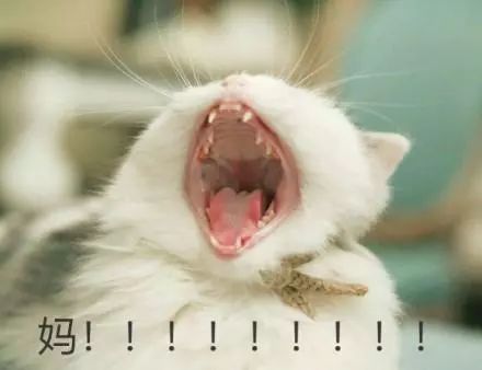 妈妈发现3岁女儿身体发出恶臭,七岁女儿身上发出恶臭