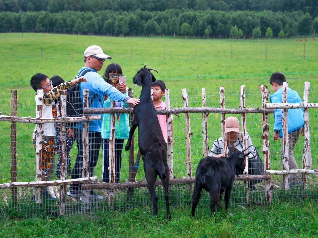 12月份出国亲子游,出国亲子游哪些国家合适