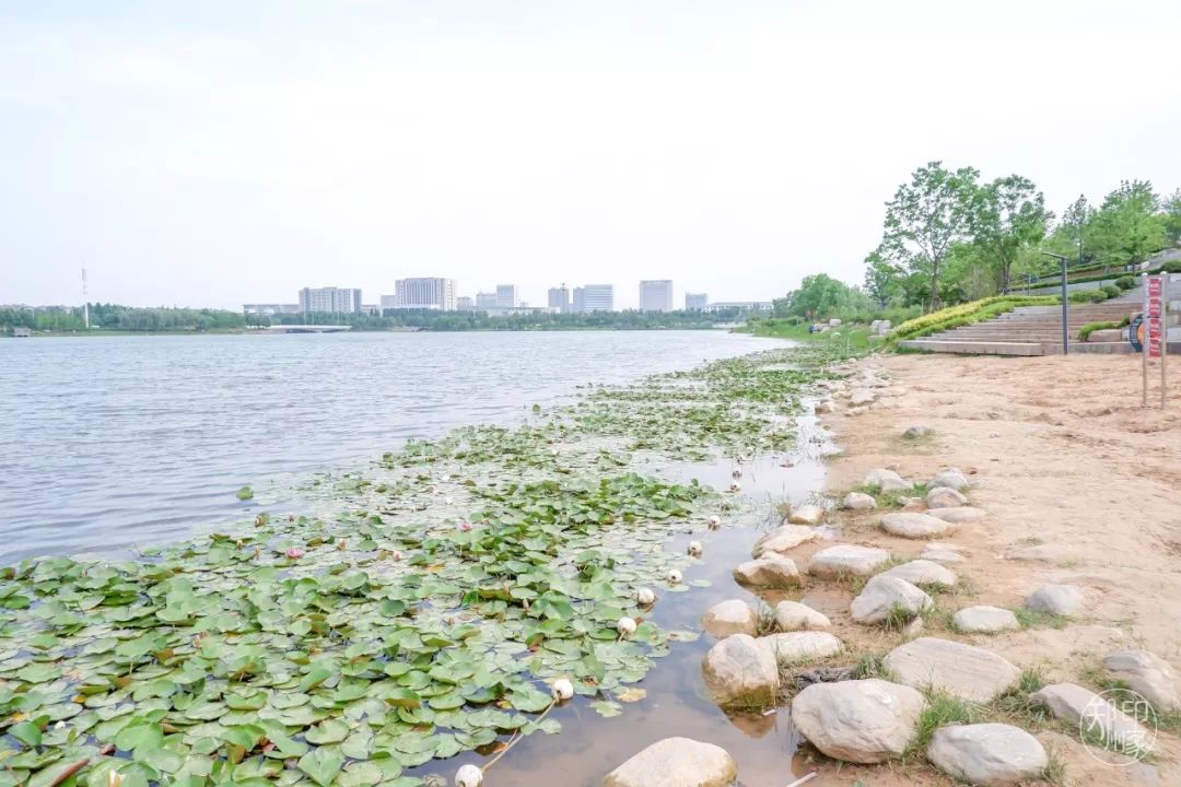 龙子湖沙滩游乐场在什么位置,蚌埠龙子湖网红沙滩多少钱