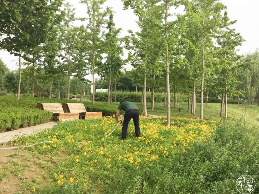 龙子湖沙滩游乐场在什么位置,蚌埠龙子湖网红沙滩多少钱