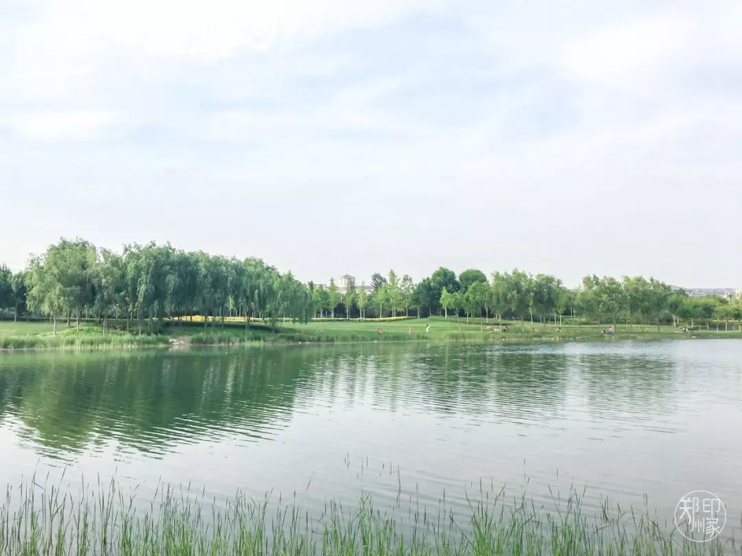 龙子湖沙滩游乐场在什么位置,蚌埠龙子湖网红沙滩多少钱