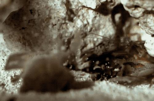 为什么乐事的薯片那么酥脆,乐事薯片容易碎