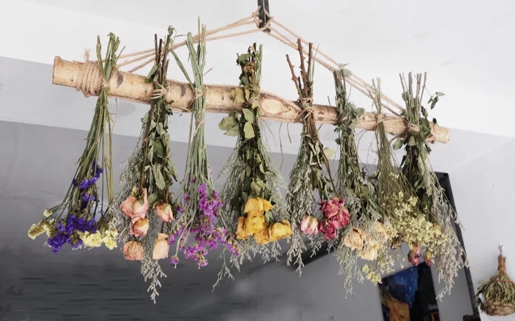 干花制作室内,小干花装饰diy