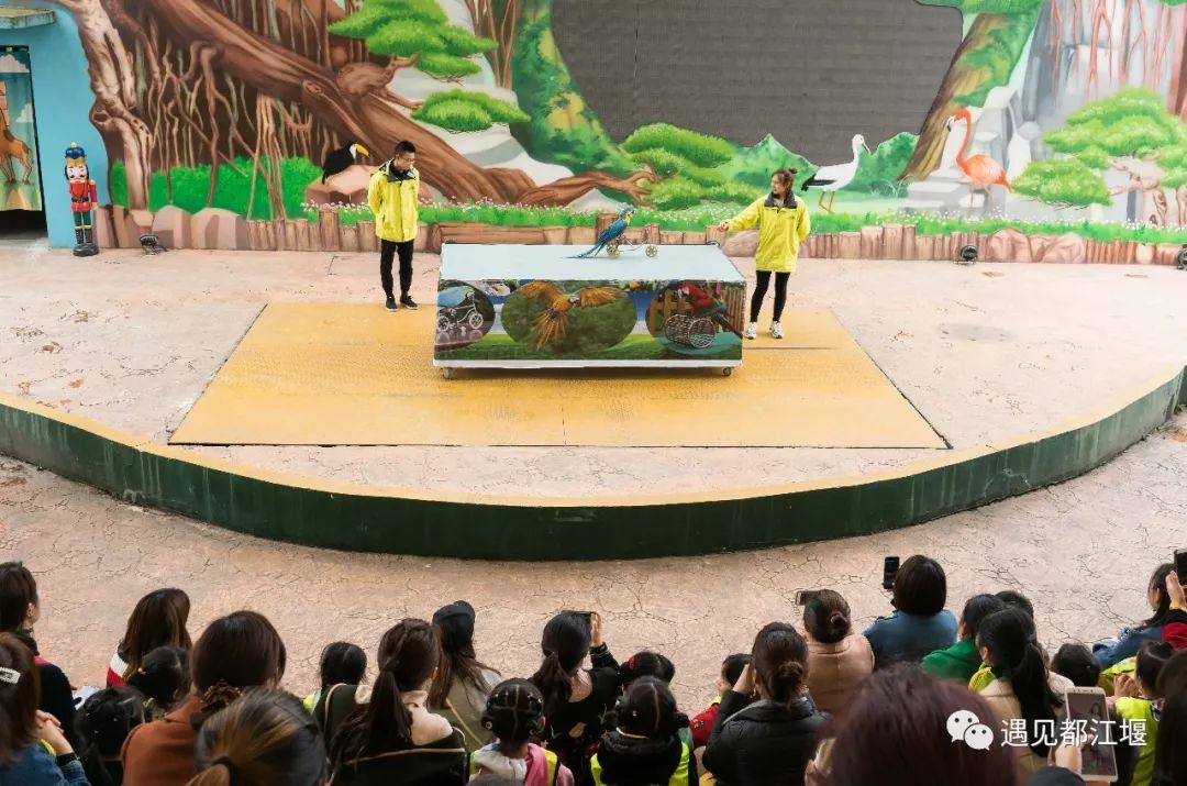 儿童节带孩子去哪里玩儿最好,都江堰六一适合孩子玩的地方