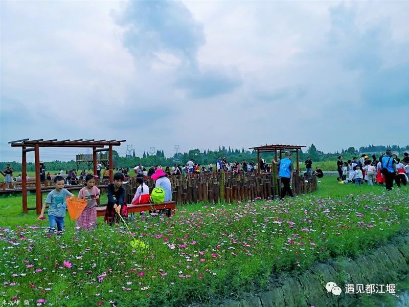 儿童节带孩子去哪里玩儿最好,都江堰六一适合孩子玩的地方