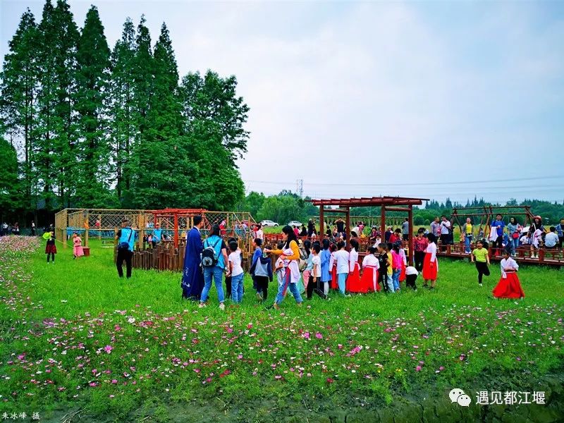 儿童节带孩子去哪里玩儿最好,都江堰六一适合孩子玩的地方