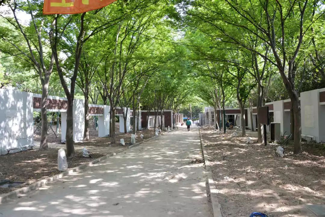 河滨公园开放最新通知,虹桥河滨公园