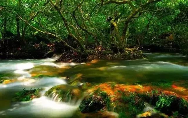 常州人的身份证,在常州办理身份证要花多少钱