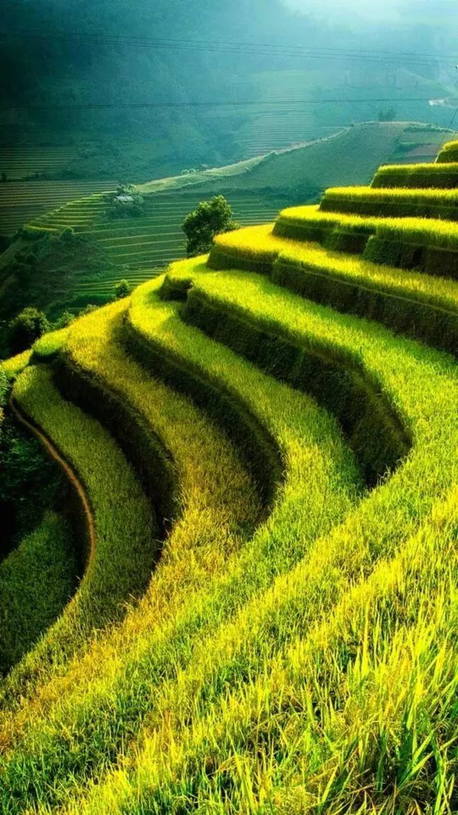 常州人的身份证,在常州办理身份证要花多少钱