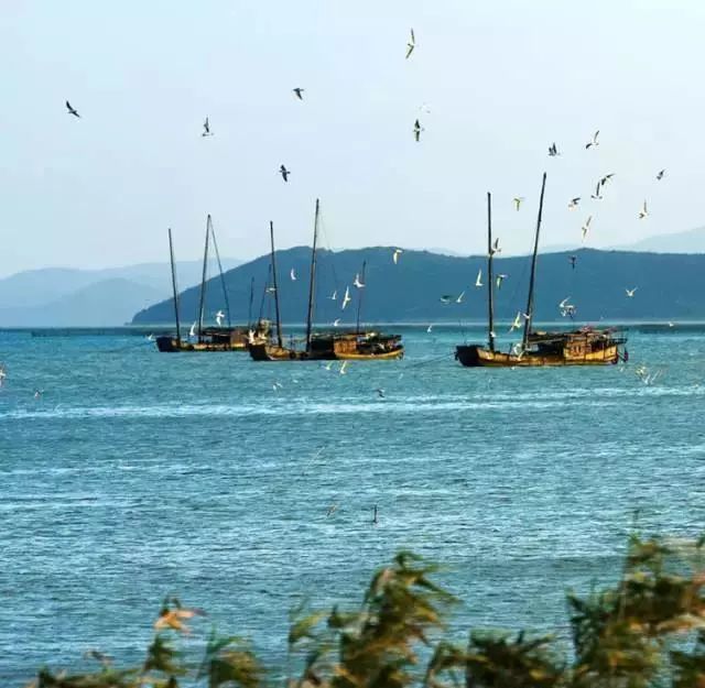 请回答2017,请回答2020总结