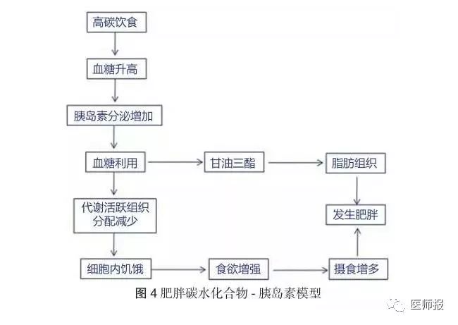 预防心血管代谢疾病生活指南,低碳饮食治疗很多代谢病