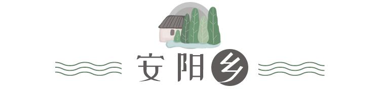 这份《千岛湖民宿地图》值得所有人收藏！湖光山色、竹林隐居…实在太美！