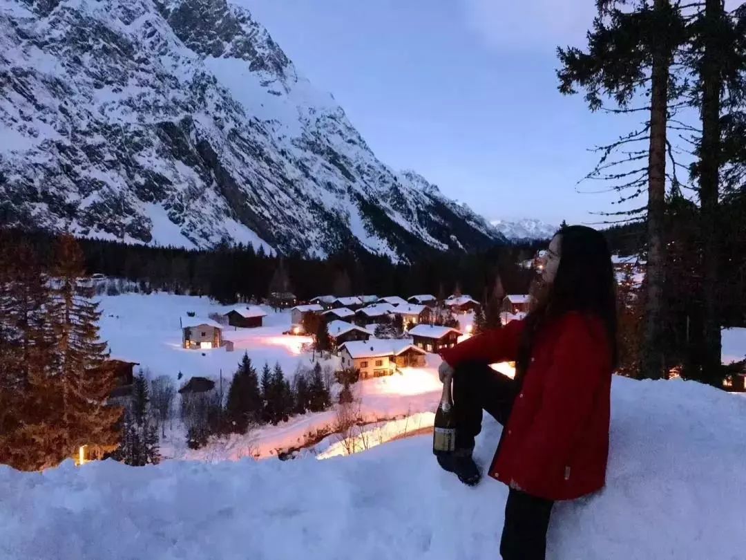 瑞士带薪项目有哪些,瑞士带薪实习