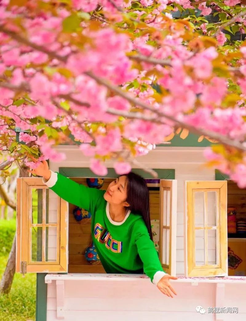 鹤壁新闻网通报,鹤壁新闻网头条新闻