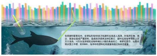 吸管限塑令什么时间实行,2020新版限塑令吸管