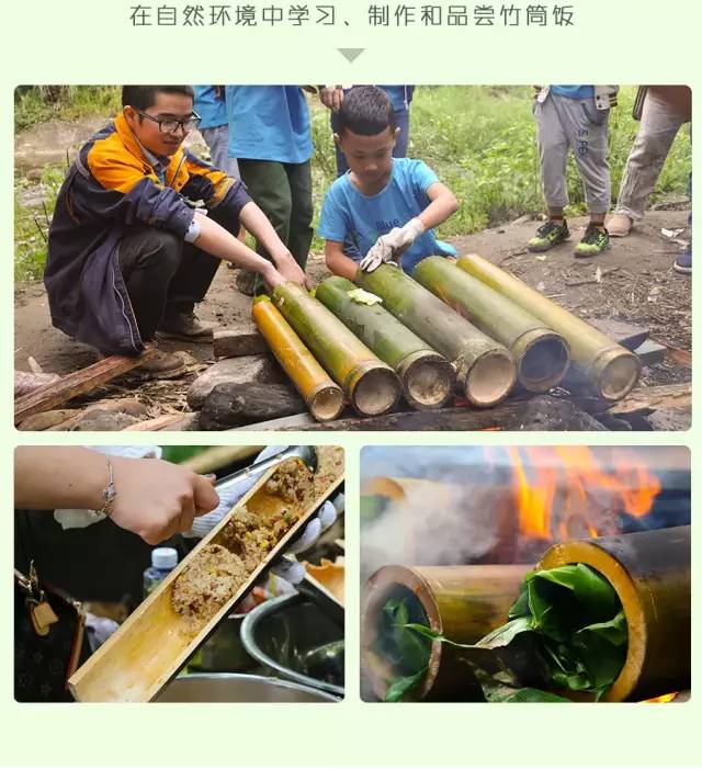 都江堰熊猫谷铲屎官报名,成都大熊猫铲屎官志愿者活动