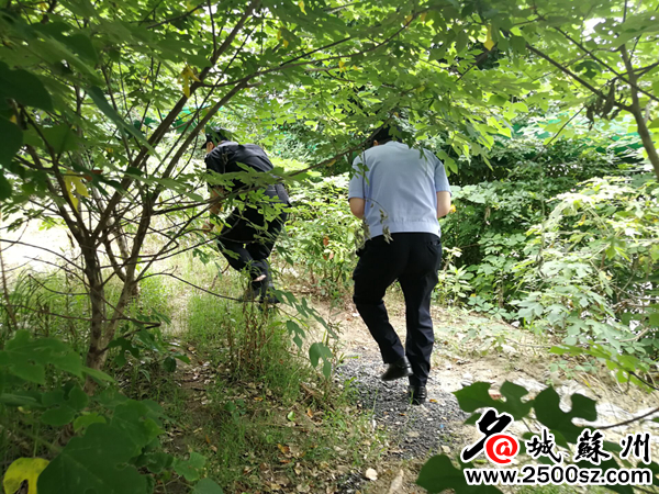 学校驱逐流浪狗防止学生被咬,大学生喂流浪狗被咬伤