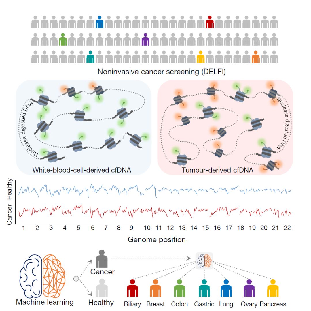 揭开黑科技滴血测癌惊天骗局真相,滴血验癌最新研究成果