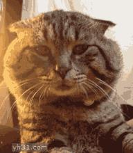 【名医】“我”是万人厌的伤疤,这篇微信教你怎样处理“我”