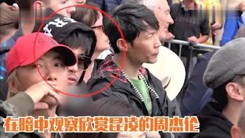 Festival丨宠爱你们,才是这个夏天最浪漫的事!