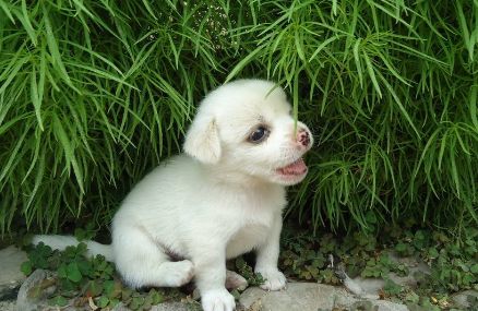 7080后童年六一回忆小视频,回忆童年过六一儿童节