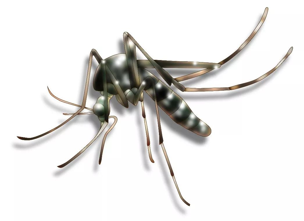 @全体南宁人,赶紧翻盆倒罐动起来!“三红”、“三痛”又是啥?