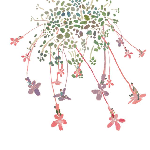 白银市区到大坪花海,去大坪玩攻略