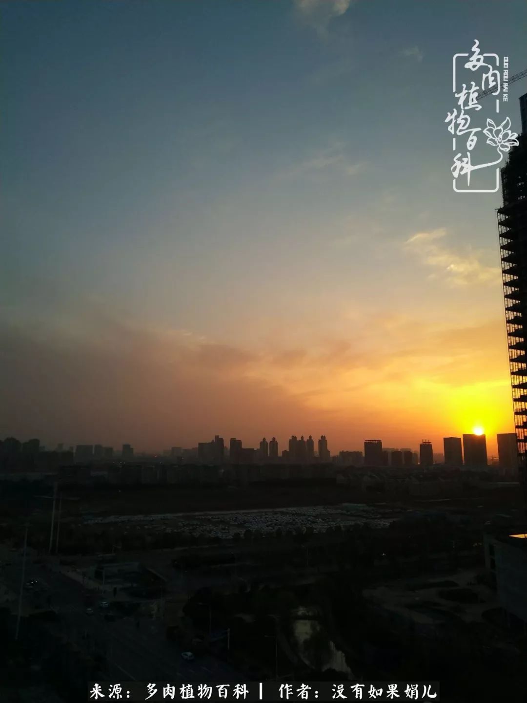 一个80后的养殖人,农村80后养肉人