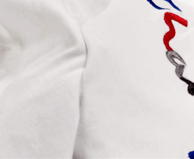 champion明星穿搭,全新champion冠军日版圆领卫衣