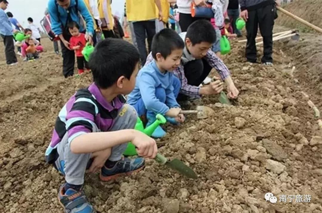 南宁六一免费景点推荐,南宁六一儿童游玩攻略