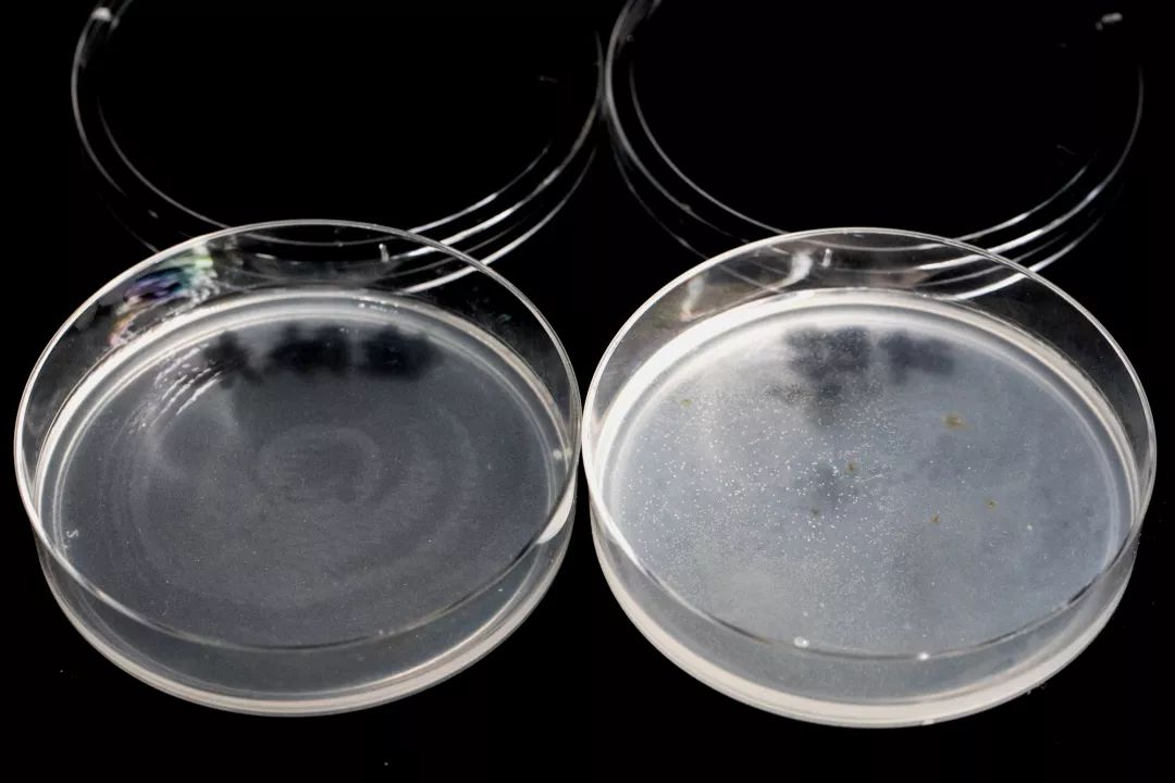 足癣湿疹用什么药膏最有效,皮炎湿疹足癣