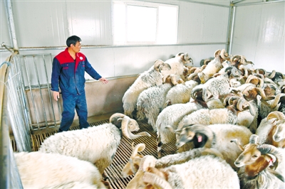 原来你是这样“富有”的*藏西**