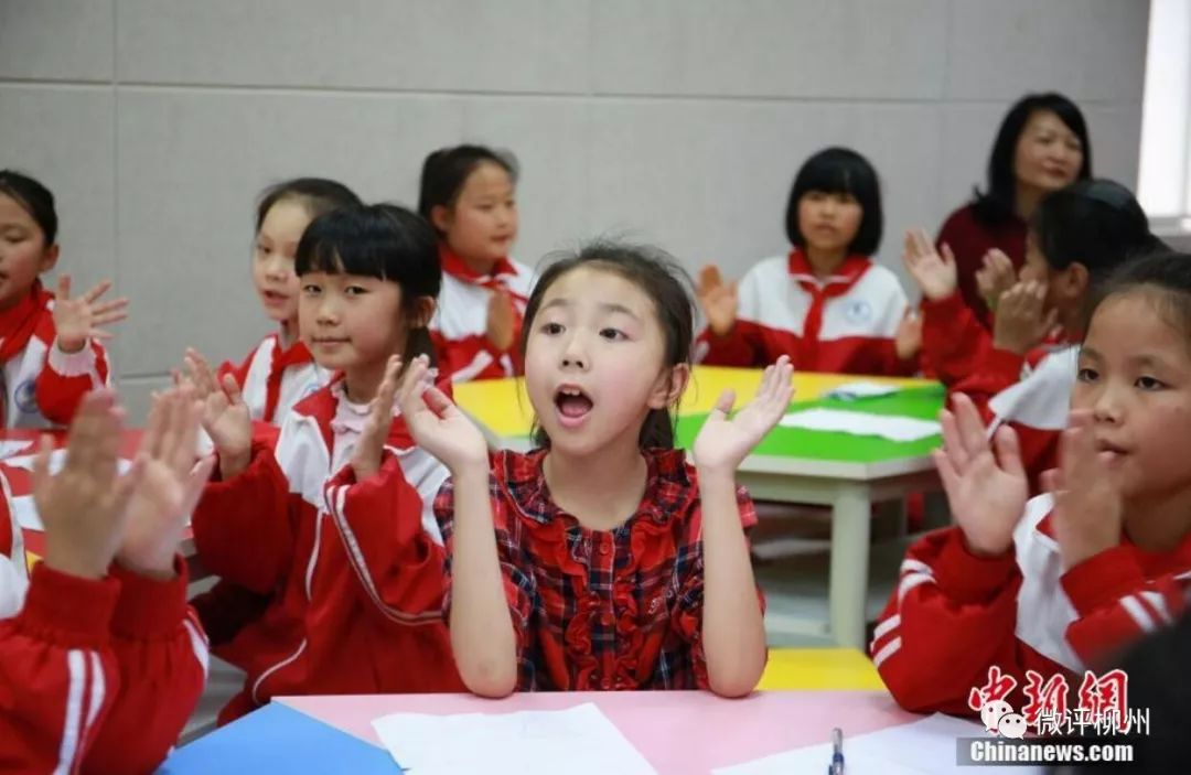 柳州2024小学学区划分公布,柳州幼儿园学区划分规定