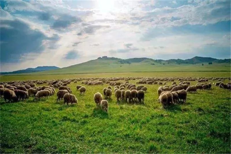 塞罕坝文旅班列,就定