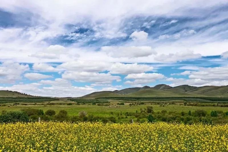塞罕坝文旅班列,就定