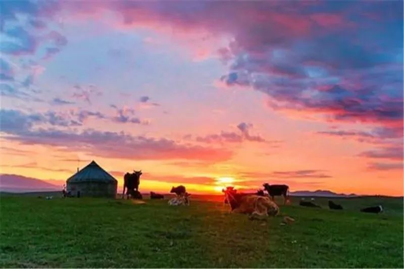 塞罕坝文旅班列,就定