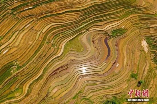 聚焦落实两件大事,聚焦贯彻落实党的二十大精神