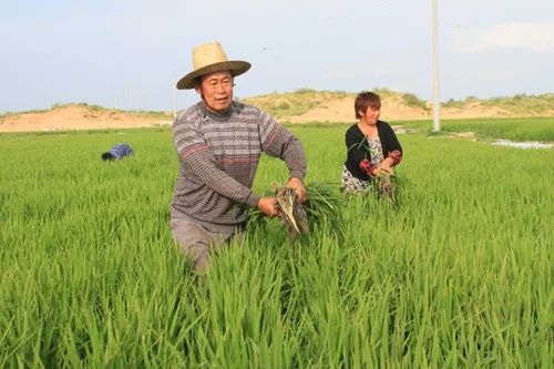 聚焦落实两件大事,聚焦贯彻落实党的二十大精神