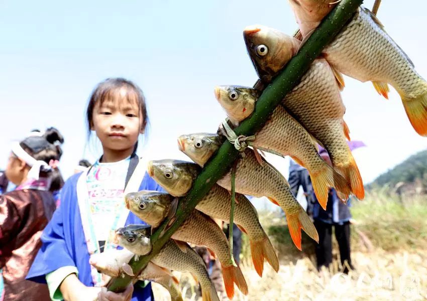 聚焦落实两件大事,聚焦贯彻落实党的二十大精神