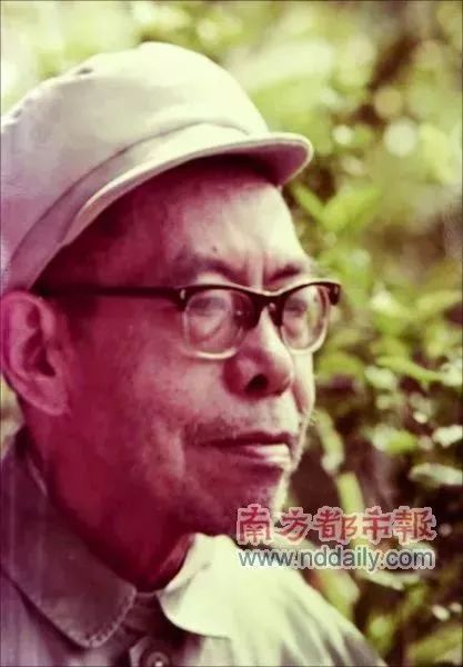 岭南中医世家｜杨志仁：久病成医巨商初萌华佗志，衣钵相传三代不改济世心