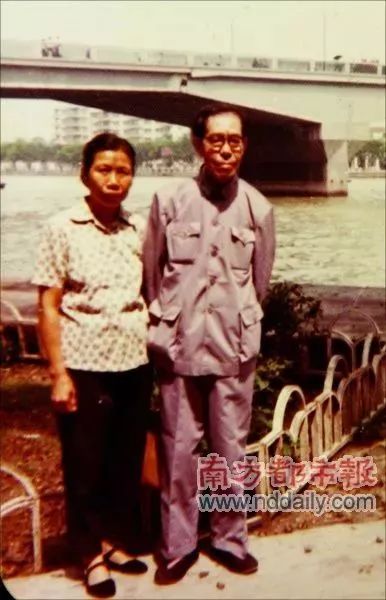 岭南中医世家｜杨志仁：久病成医巨商初萌华佗志，衣钵相传三代不改济世心