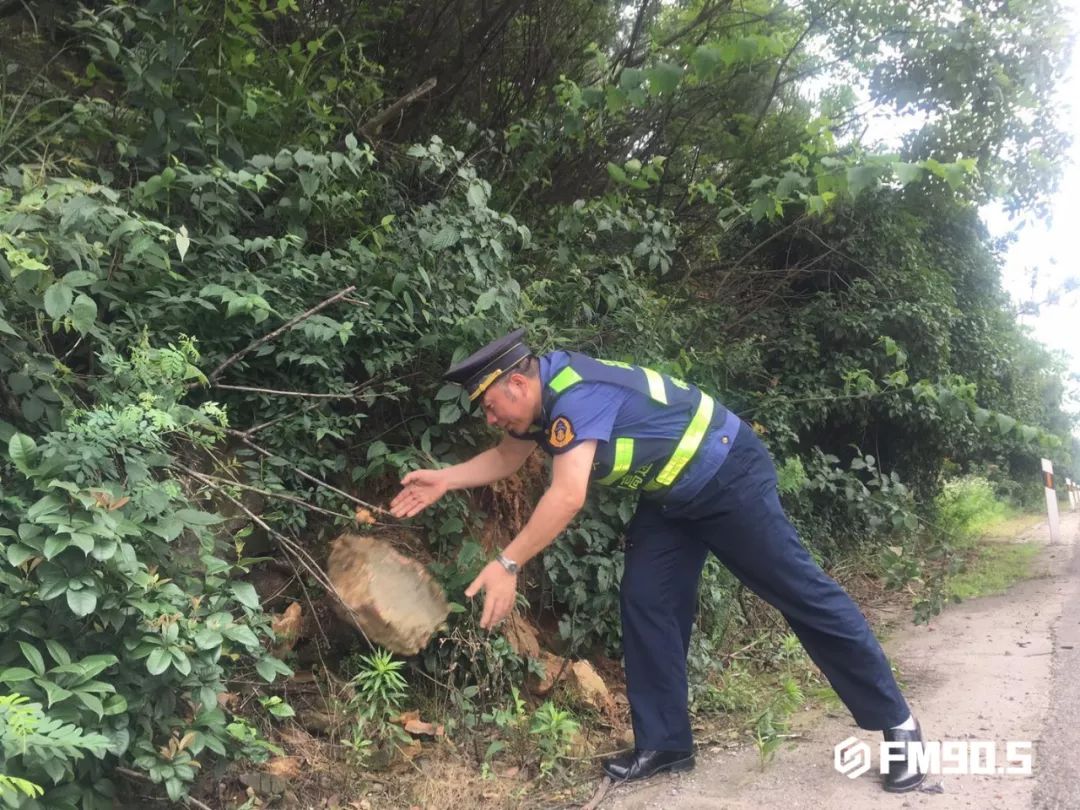 这都是他们干的好事！揭秘高速路政工作日常