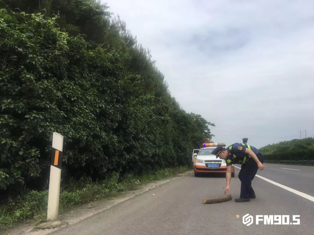 这都是他们干的好事！揭秘高速路政工作日常