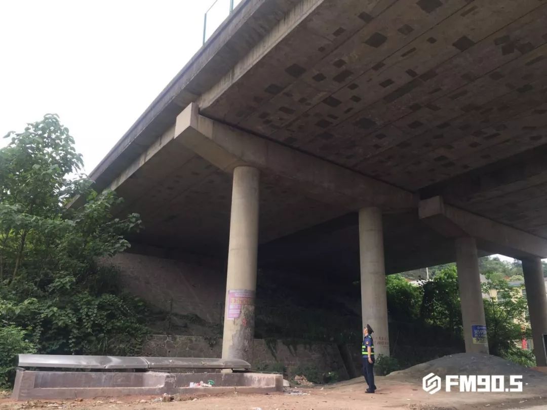 这都是他们干的好事！揭秘高速路政工作日常