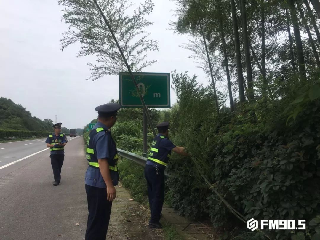 这都是他们干的好事！揭秘高速路政工作日常