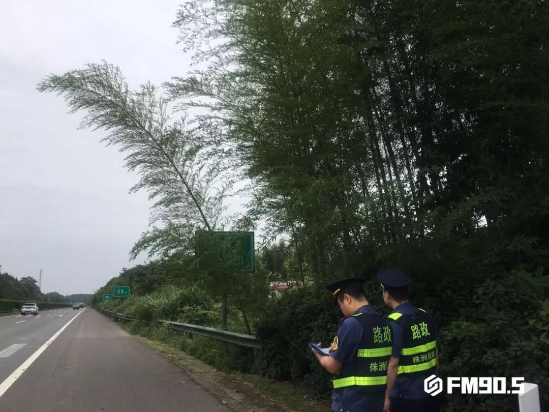 这都是他们干的好事！揭秘高速路政工作日常