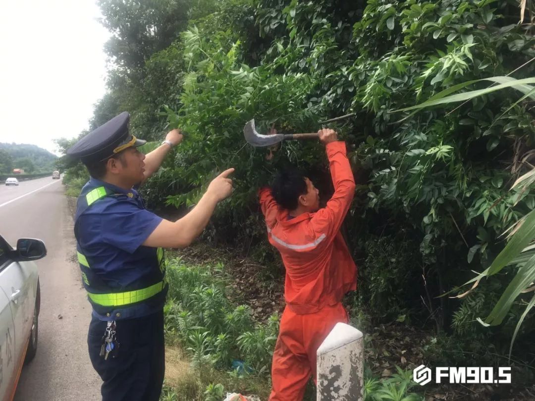 这都是他们干的好事！揭秘高速路政工作日常